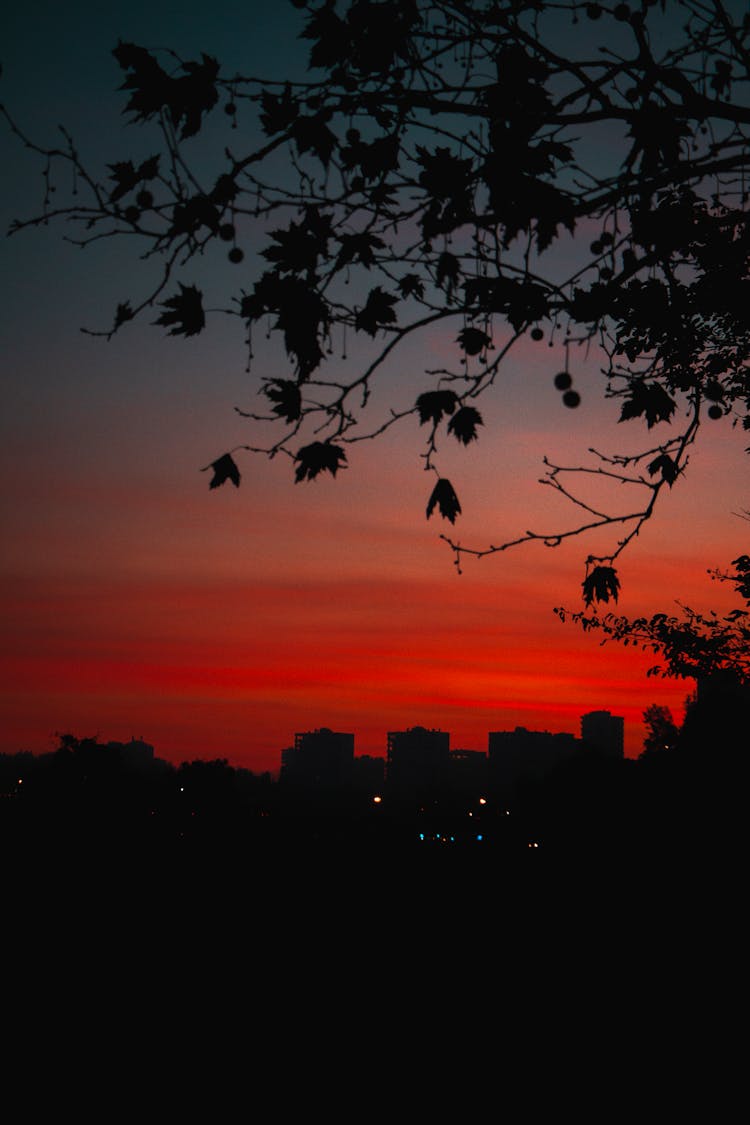 Silhouette Of City At Dusk