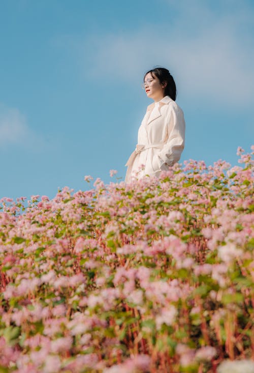 Immagine gratuita di campo di fiori, cielo azzurro, donna