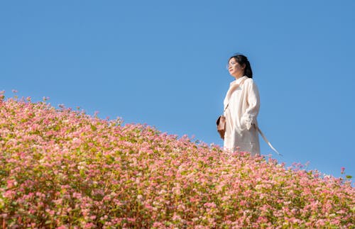 Woman in White Dress Near Pink Flower Field 