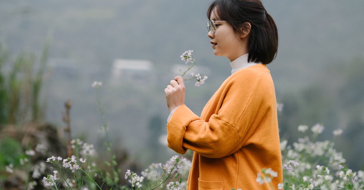 Woman In Flowers A Woman with a Flower in a Field · Free Stock Photo
