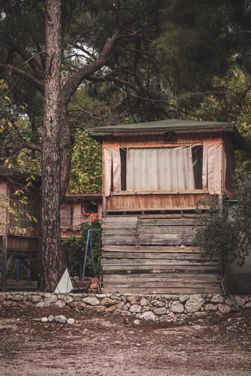 Free A rustic wooden cabin surrounded by trees in a tranquil forest setting. Stock Photo