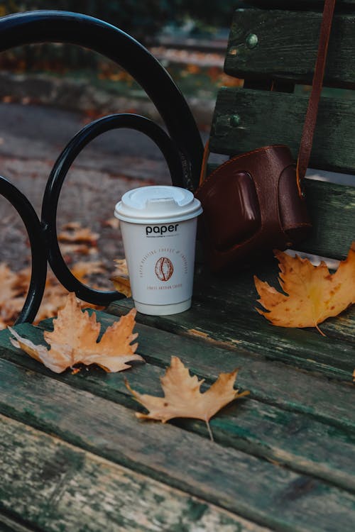 A Cup of Coffee on a Wooden Bench during Fall