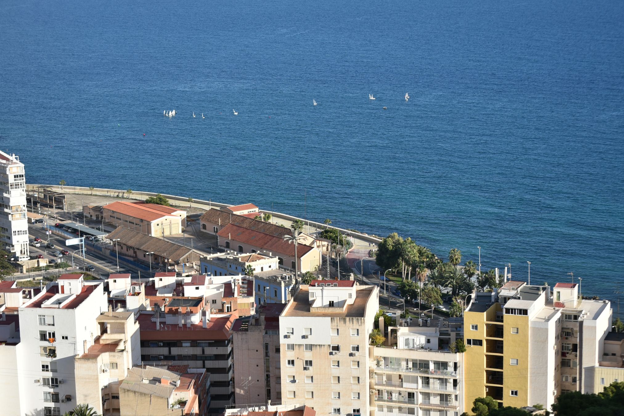 Alicante Startup Pitches Lower Fees to Take On Booking.com