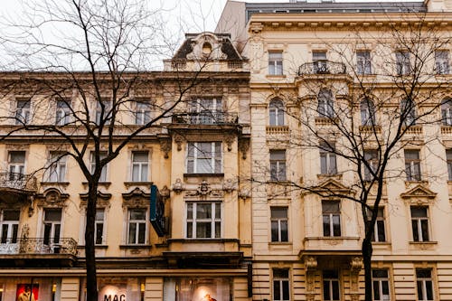 Trees and Vintage City Buildings behind