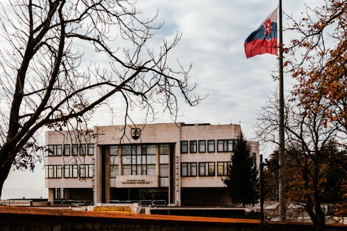 Fotos de stock gratuitas de arboles, asta de bandera, bandera eslovaca