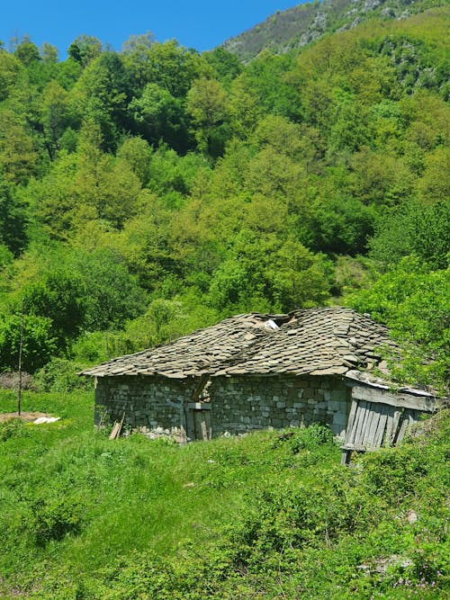 Foto d'estoc gratuïta de abandonat, bosc, casa de camp