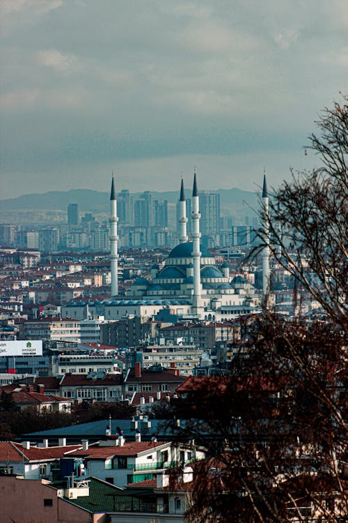 A Mosque in a City 