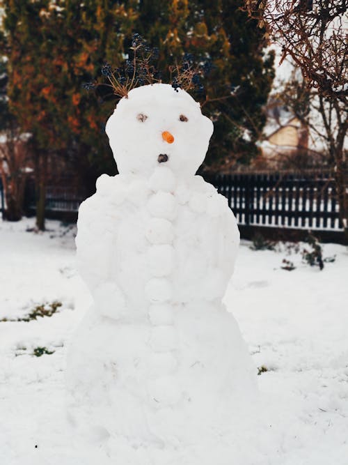 Photos gratuites de arbre, barrière, bonhomme de neige