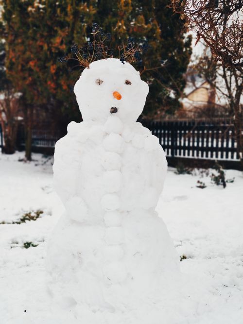 Free A delightful snowman built in a snowy backyard surrounded by winter trees in Amberg, Germany. Stock Photo
