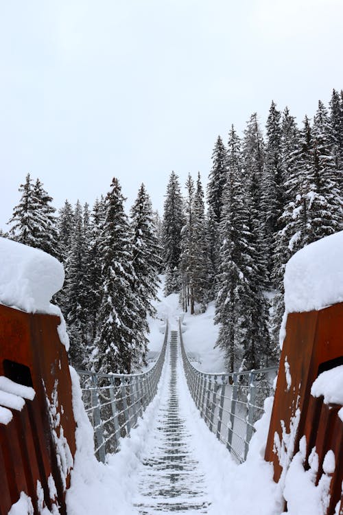 Photo of Snow Covered Bridge