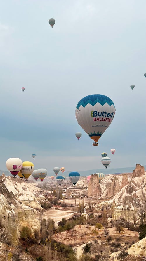 Бесплатное стоковое фото с Аэрофотосъемка, вертикальный выстрел, горячие воздушные шары