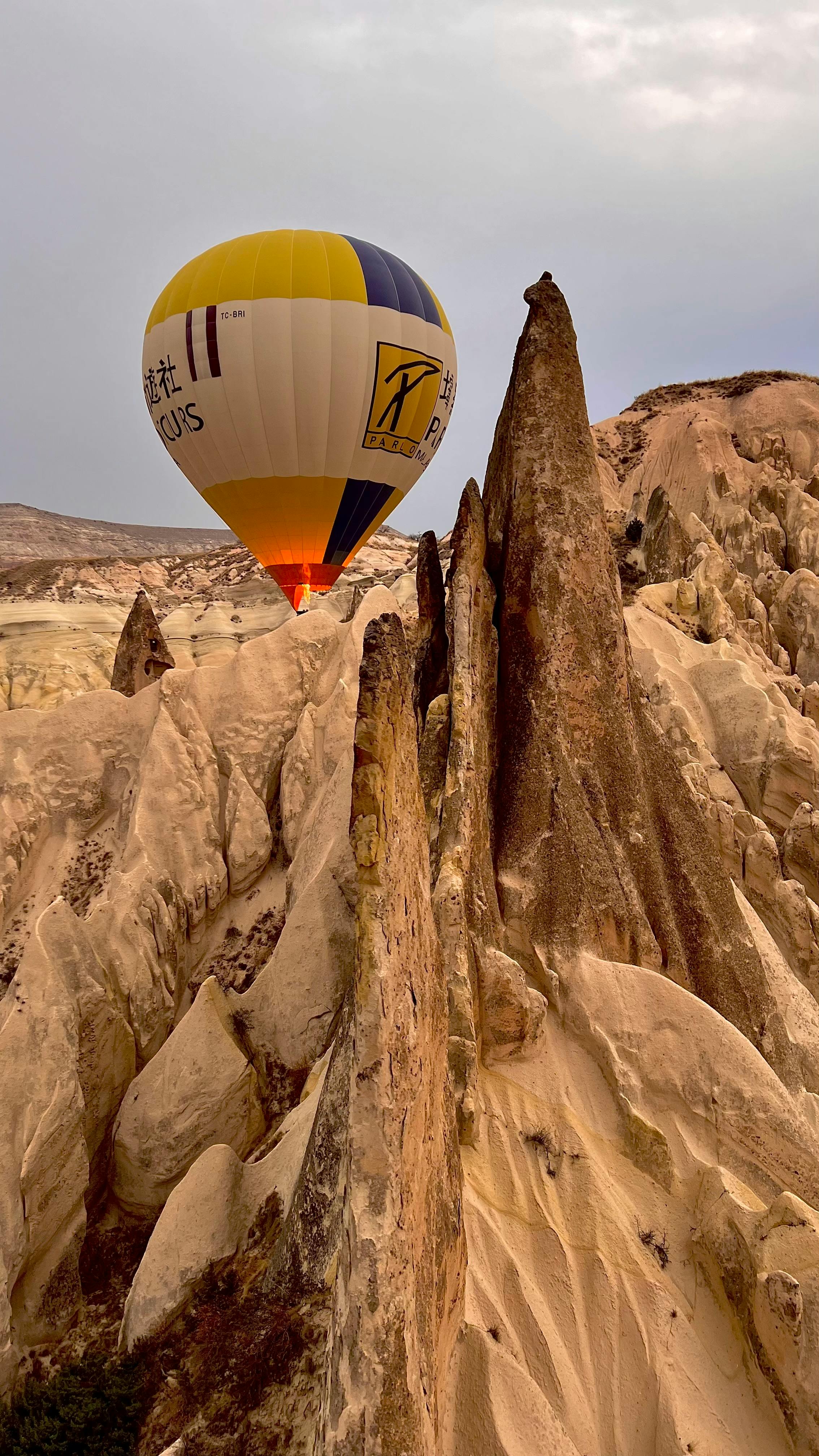 Adventure Company Photos, Download The BEST Free Adventure Company