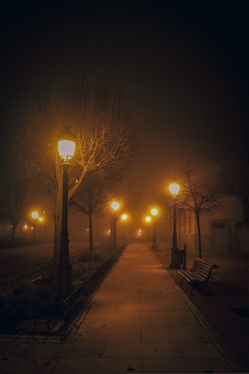 Photos gratuites de la nuit, lampadaires, rue