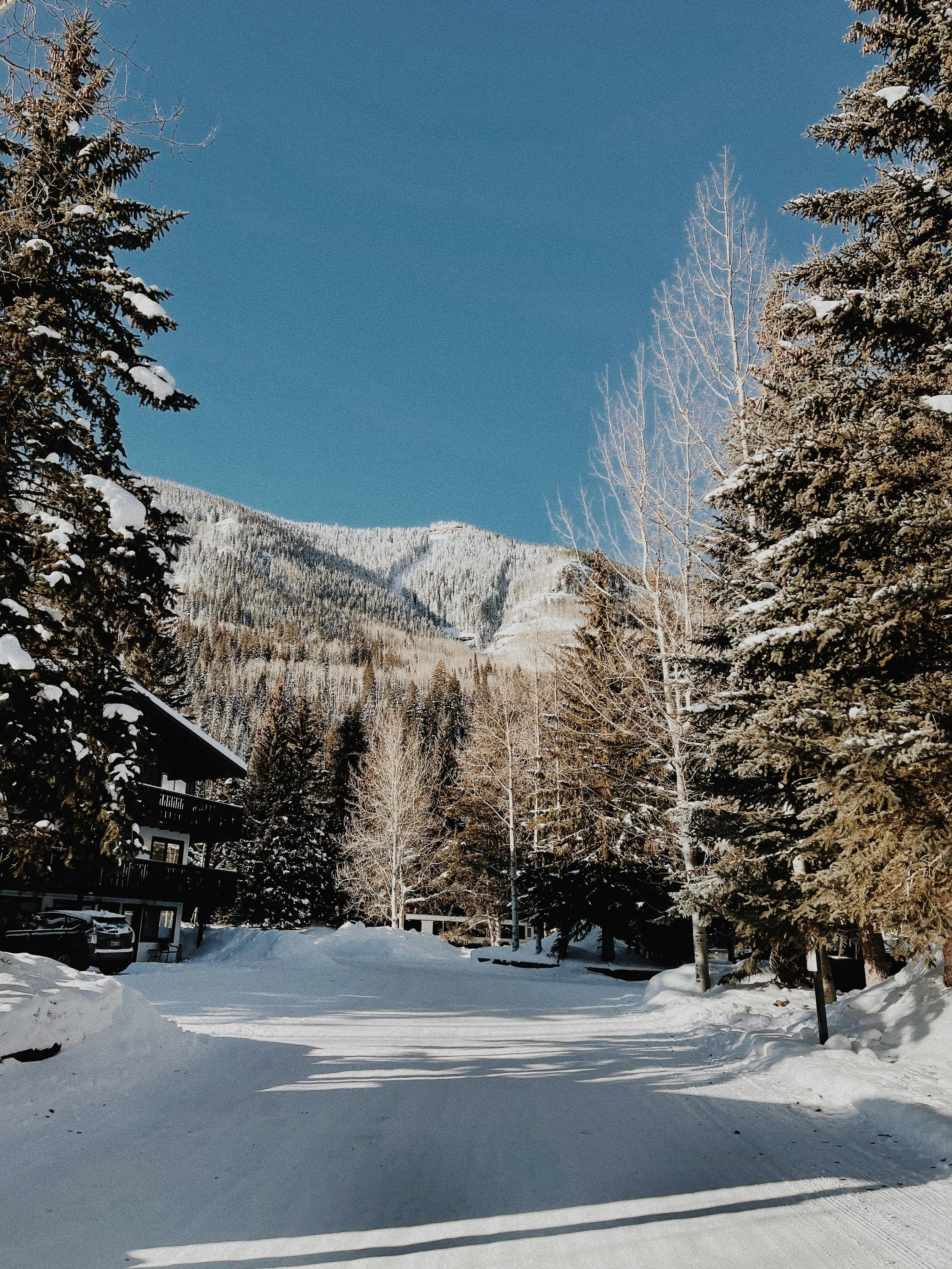 Prescription Goggle Inserts - Beautiful snow-covered path lined with trees in Vail, Colorado under a clear blue sky.