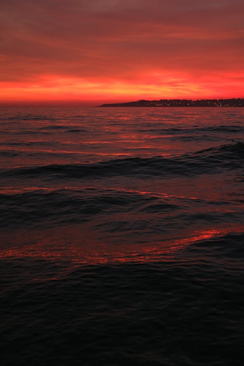 Fotobanka s bezplatnými fotkami na tému fotografia prírody, kývať, magická hodina