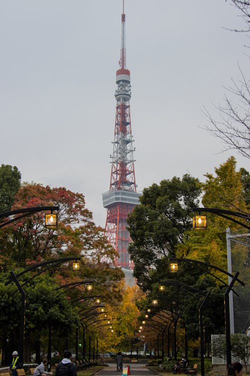 Foto profissional grátis de alto, arquitetura japonesa, arranha-céu