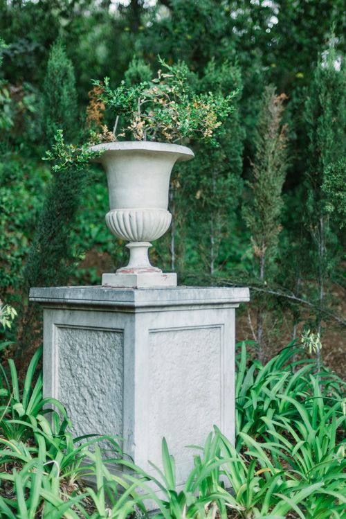 Free Close-up of a decorative stone vase on a pedestal surrounded by green foliage in a garden. Stock Photo