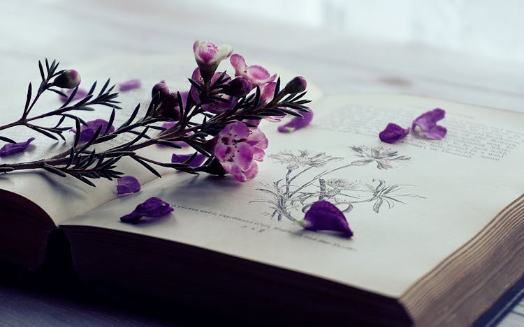 Selective Focus Photography Of Purple Flowers On Book Page