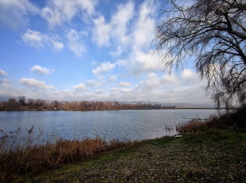 Free Serene landscape of a lake under a cloudy sky with bare winter trees in Serbia. Stock Photo