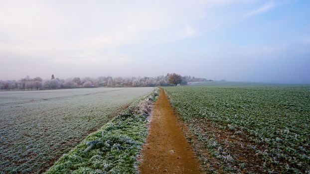Serene winter landscape with frosty fields and rural path in Knebworth, England.