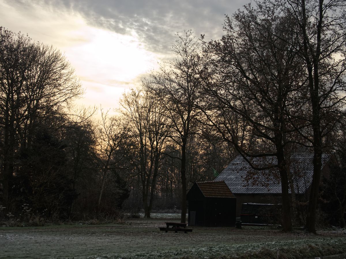 The Reserve 2