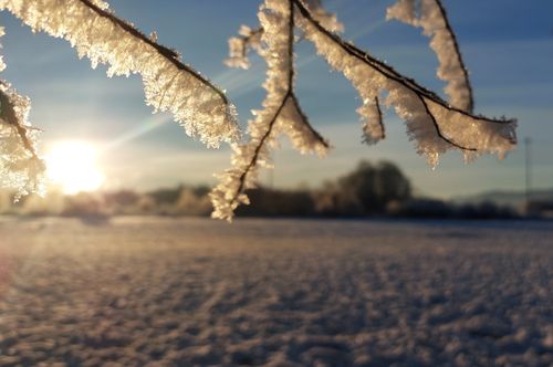 Free Winter in Bayern Stock Photo