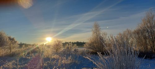 Free Winter in bayern Stock Photo