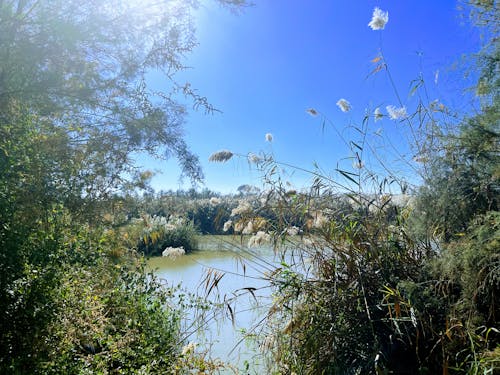 Yeroham lake