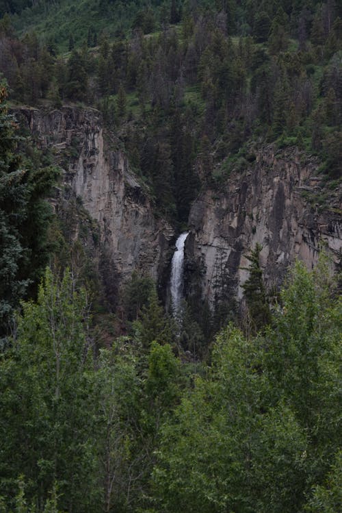 бесплатная Посреди горы: водопады Стоковое фото