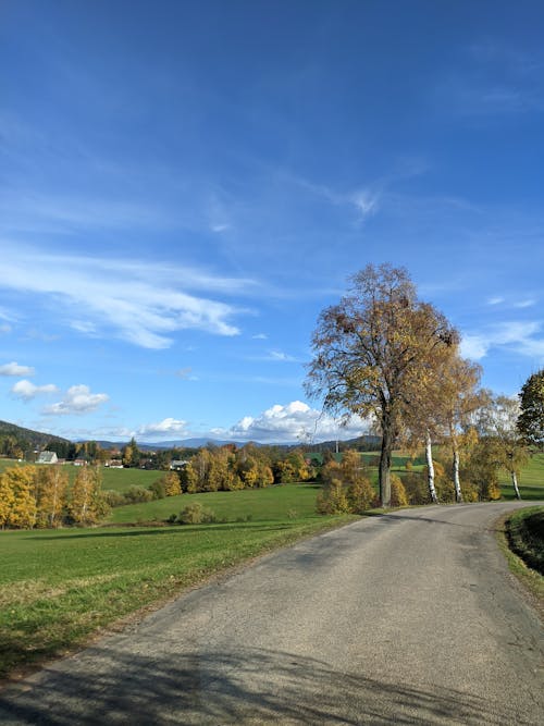 Kostenloses Stock Foto zu außerorts, landschaft, sommer