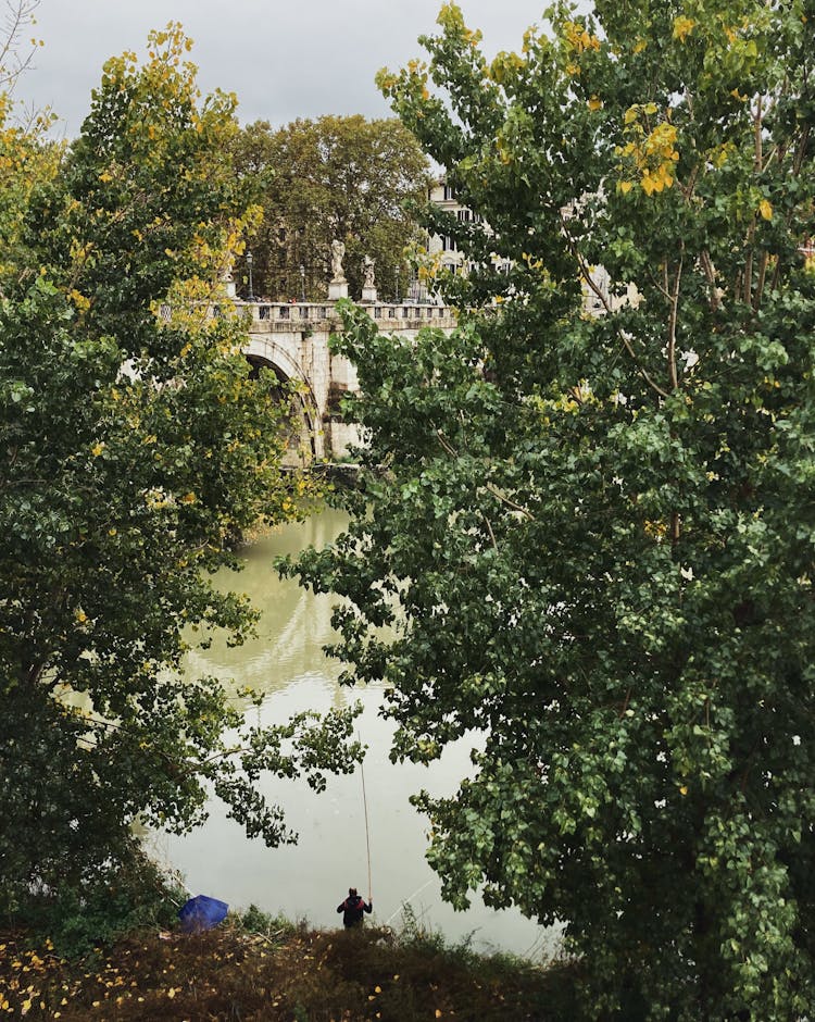 Person Fishing On Water Canal