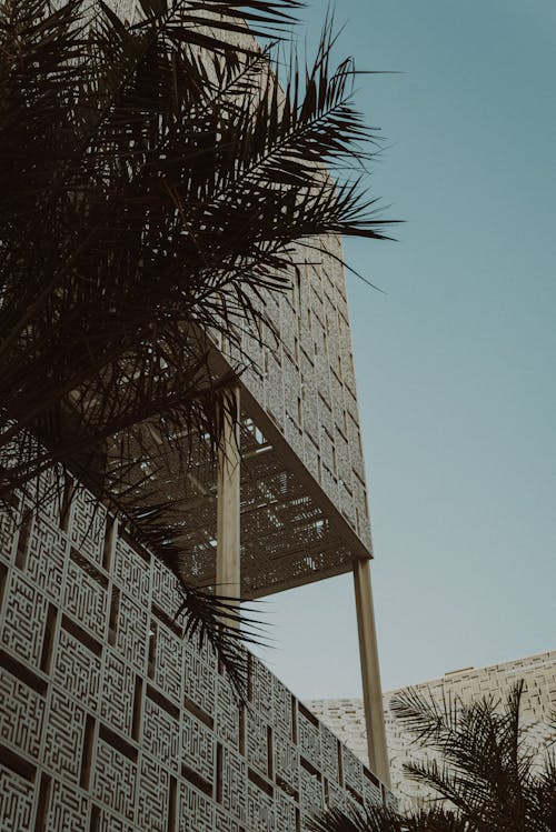 Darmowe zdjęcie z galerii z budynek od zewnątrz, drzewo palmowe, fasada