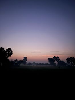 Silhouetted trees and electricity wires at dawn with a vibrant purple sky, creating a serene landscape.