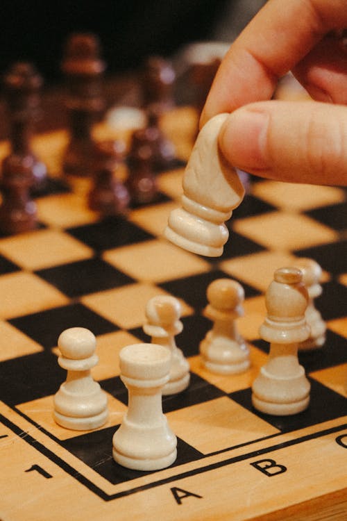 チェス, チェスの駒, チェス盤の無料の写真素材