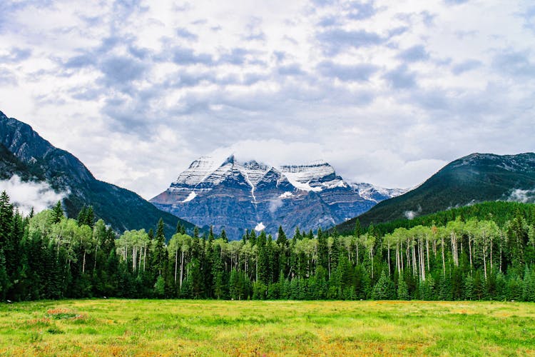 Wide Angle Photography Of Green Trees On Foot Of Frosted Mountain