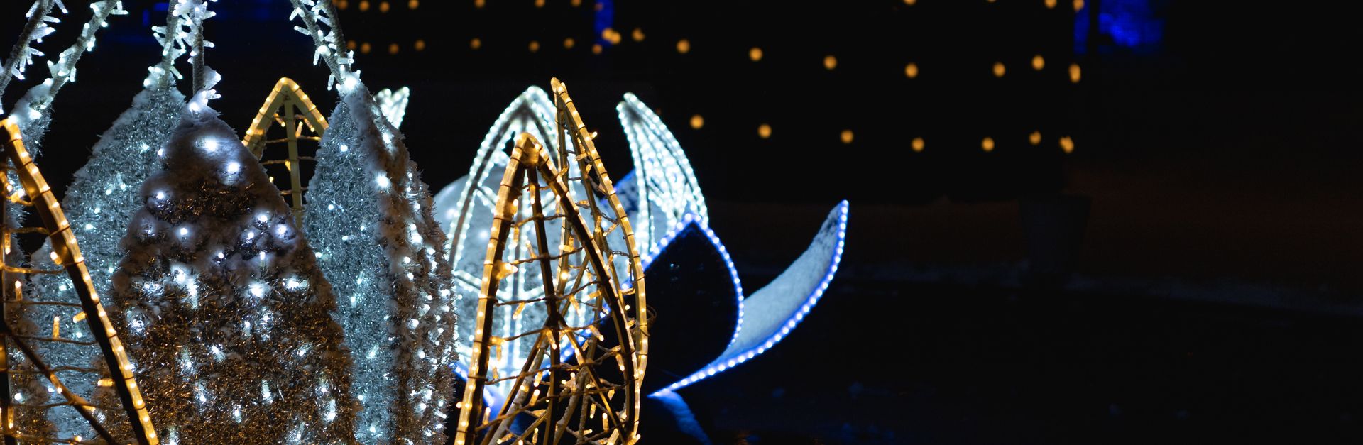 A luminous floral sculpture glows brightly in the dark, enhancing the night ambiance.