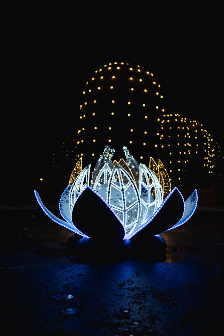 Illuminated Lotus Shaped Light