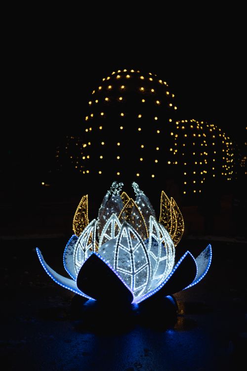 Free A glowing lotus sculpture beautifully illuminated at night with surrounding decorative lights. Stock Photo