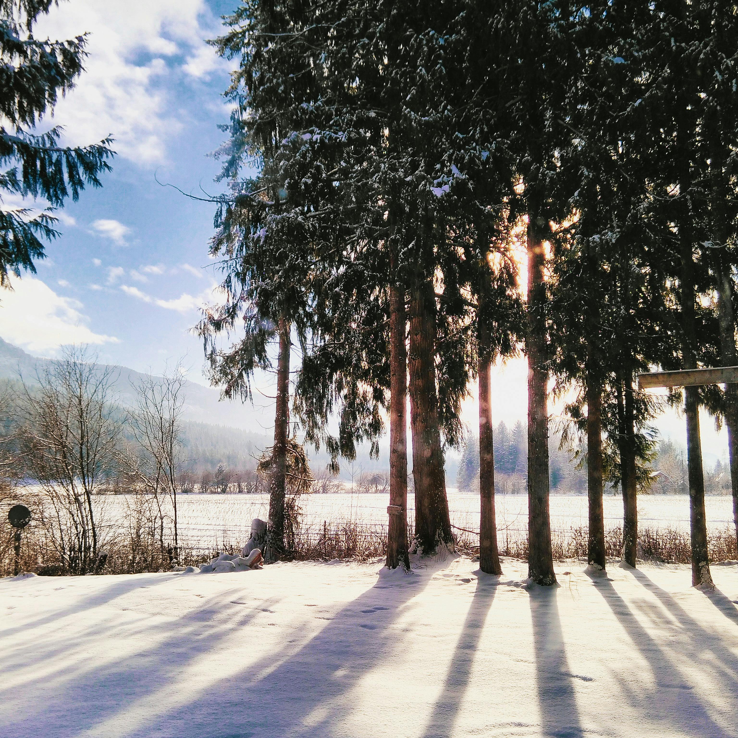 Snowfall Photos, Download The BEST Free Snowfall Stock Photos & HD Images Snowfall Photos, Download The BEST Free Snowfall Stock Photos & HD Images