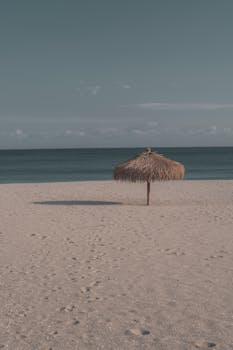 Calm beach scene featuring a solitary straw umbrella on a sandy shoreline, ideal for summer relaxation.