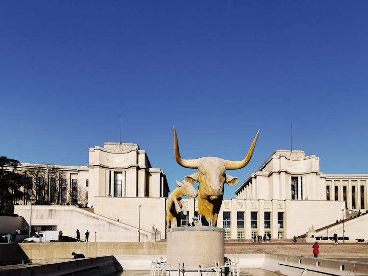 Bull Statue In Trocadero Gardens In Paris