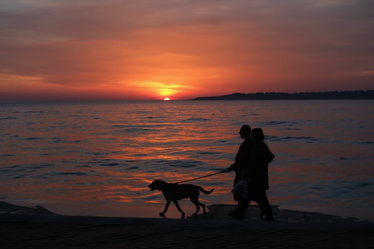 Silhouette Of Couple Walking Dog At Sunset