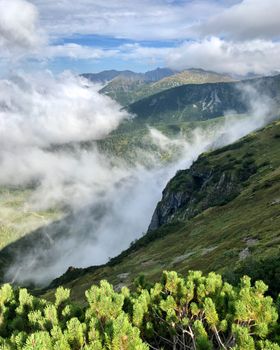 Morning mist over lush green hills in Zakopane, Poland's picturesque landscape.