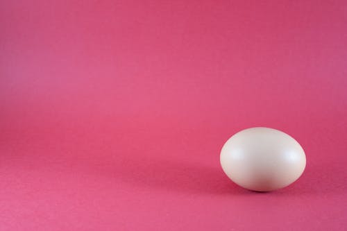 Free stock photo of boiled egg, boiled eggs, easter egg