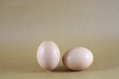 Gratis stockfoto met ei, eieren, gekookt ei