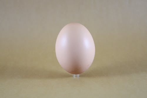 Free stock photo of boiled egg, boiled eggs, easter egg