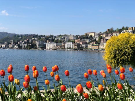 Lugano, Switzerland photo 21