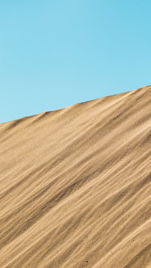 Foto profissional grátis de areia, árido, conhecimento