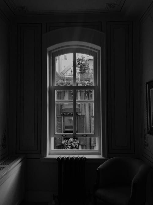 Ilmainen kuvapankkikuva tunnisteilla harmaasävyt, huonekalu, ikkunalaudalla