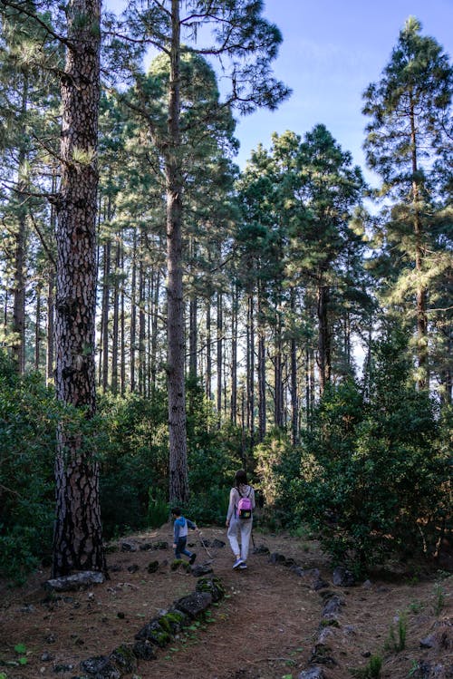 Woman and Child Walking in the Woods